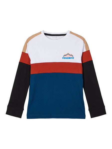 NKMolex LS Top