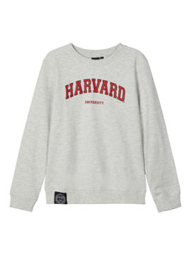 Mnlmuniversity Sweat