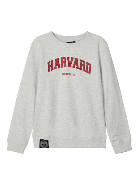 Mnlmuniversity Sweat