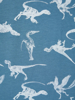 NMM Tank Top Teal Teal Dino Noos