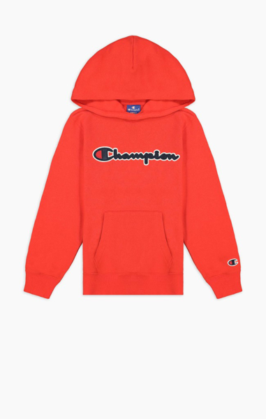Champion Hooded Sweatshirt