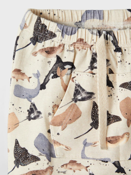 NBMTammes Pant