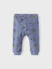 NBMDanni Pant