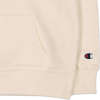 Champion Hooded Sweatshirt