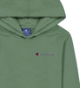 Champion Hooded Sweatshirt