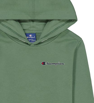Champion Hooded Sweatshirt