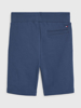 Tommy Hilfiger Essential Shorts