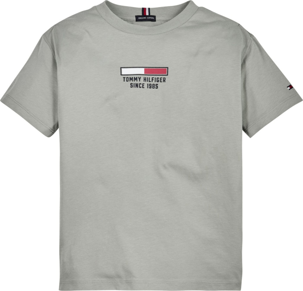 Tommy Hilfiger Flag Logo Tee