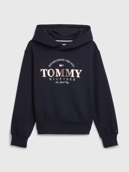 Tommy Hilfiger Graphic Hoodie