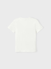 Name It Dagfin Minecraft Ss top