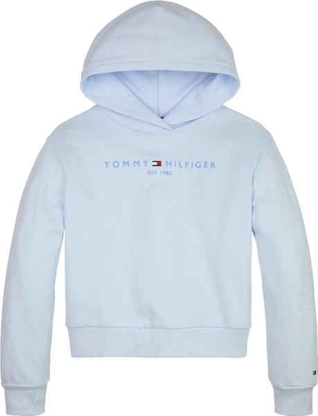 Tommy Hilfiger Essential Hoodie