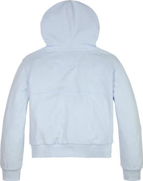 Tommy Hilfiger Essential Hoodie