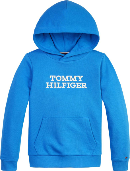 Tommy Hilfiger Logo Hoodie