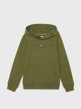 Tommy Hilfiger Essential Hoodie