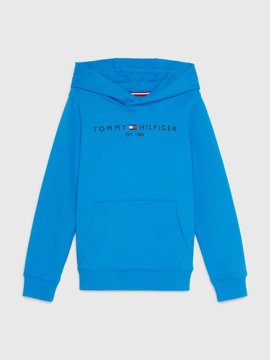 Tommy Hilfiger Essential Hoodie