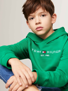 Tommy Hilfiger Essential Hoodie