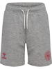 Hummel Reg DBU Shorts
