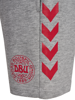 Hummel Reg DBU Shorts