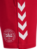 Hummel Reg DBU Shorts