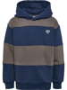 Hummel Loose Stripe Hoodie Bee