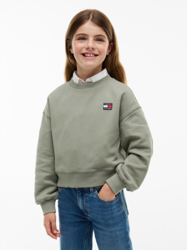 Tommy Hilfiger Heritage Falg Sweatshirt