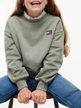 Tommy Hilfiger Heritage Falg Sweatshirt