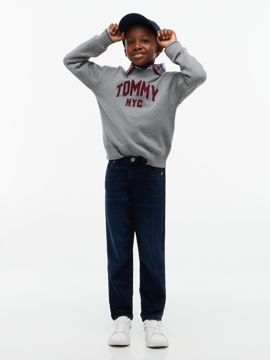 Tommy Hilfiger Straight Jeans