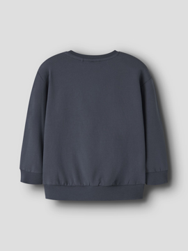 Name It Aban Børste Sweat