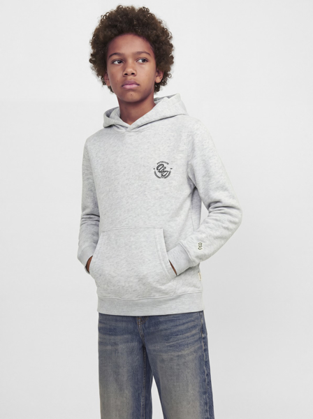 Jack & Jones Frederiksberg Back Sweat Hood